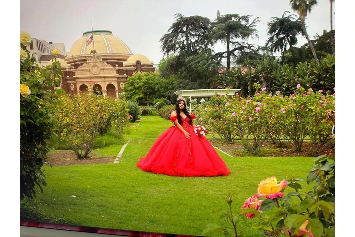 Fotografo profesional image 1