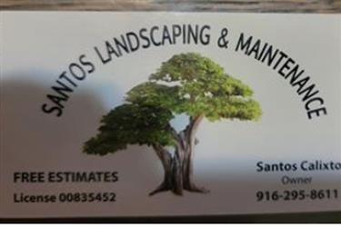 RESIDENTIAL LANDSCAPING en Sacramento