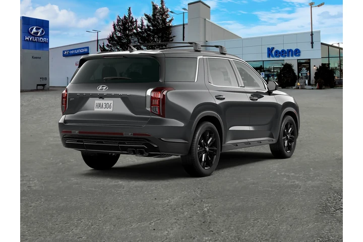 $33995 : Hyundai PALISADE 2023 AWD XR image 7