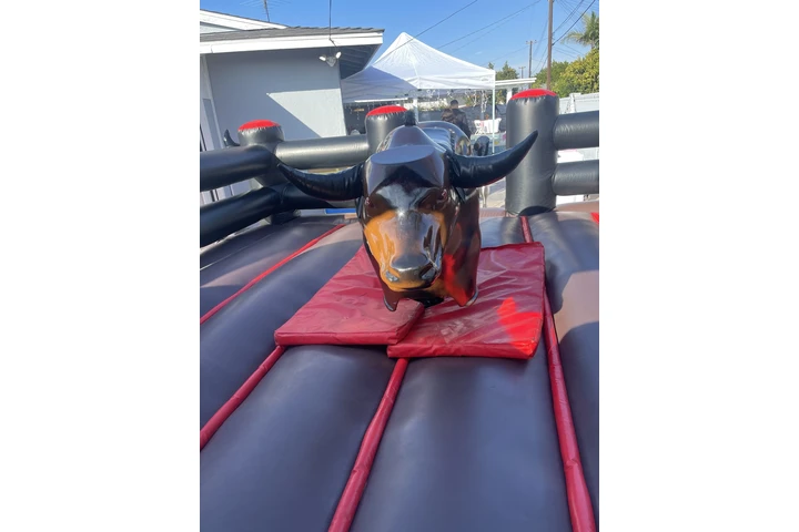 Mechanical bulls available image 1