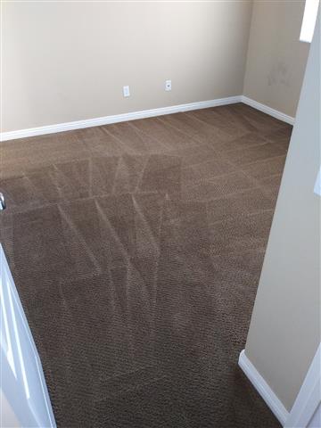 661 Carpet Cleaners image 5