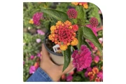 VIVERO thumbnail