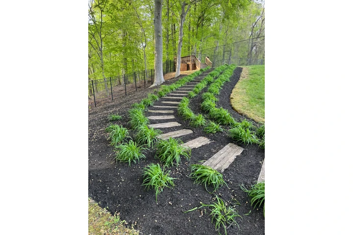 🌳HIDALGO LANDSCAPING SERVICES image 3