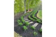 🌳HIDALGO LANDSCAPING SERVICES thumbnail