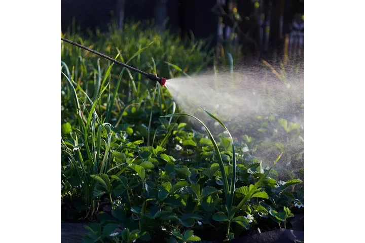 JARDINERÍA PROFESIONAL image 4