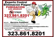 FUMIGACIONES TU HOGAR-NEGOCIOS thumbnail