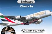 How Do Check In Emirates? en Rochester