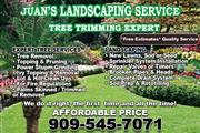 Juans Gardening Service thumbnail 2