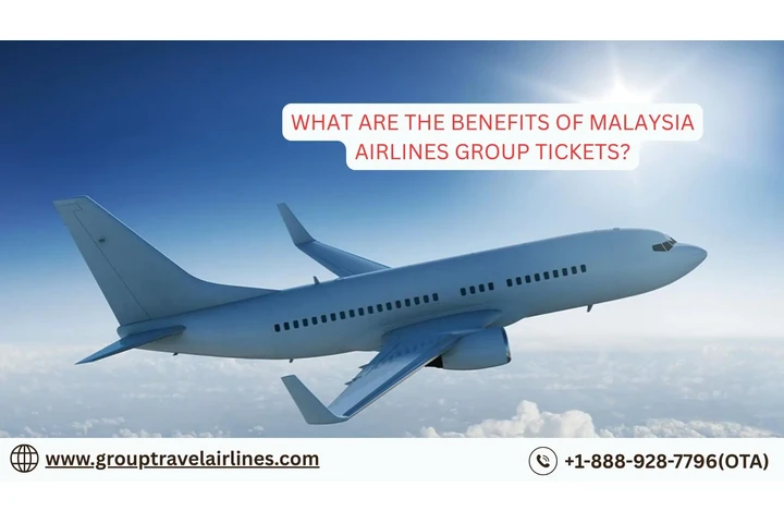Malaysia Airlines Group Travel image 1