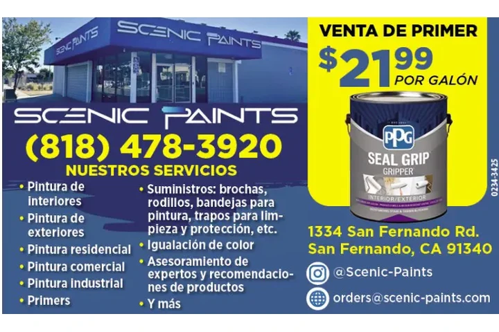 VENTA DE PINTURA SAN FERNANDO image 1