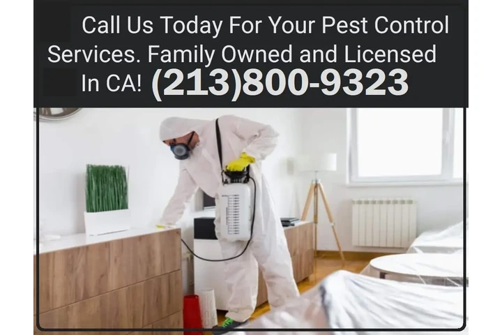 Pest Control Services 24/7. image 2