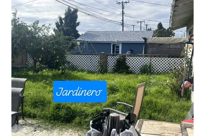 $45Corté de pasto 3232896968 image 9