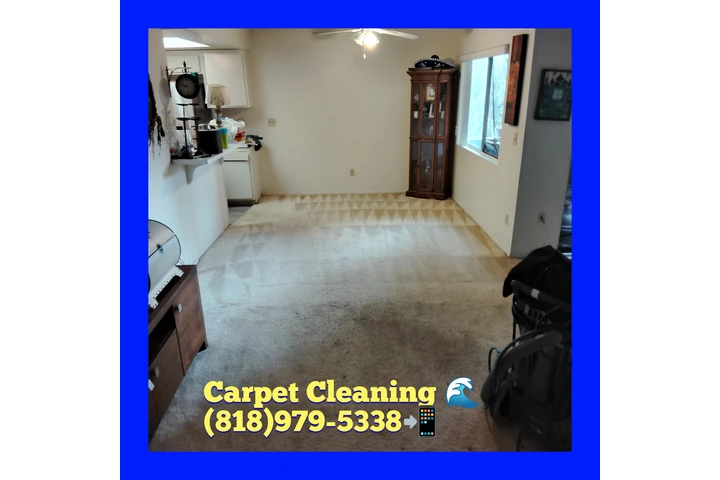 Carpet Cleanin🌊818-979-5338📲 image 2