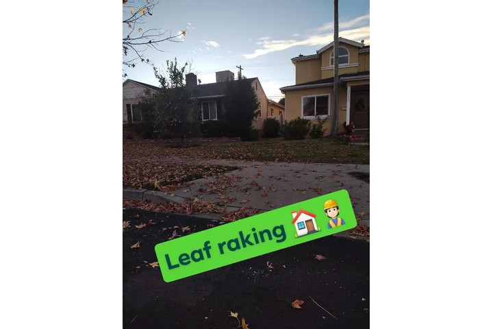 Corte de pasto 🏡$35 image 6