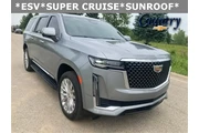 Cadillac Escalade ESV 2024 4 en Arlington VA