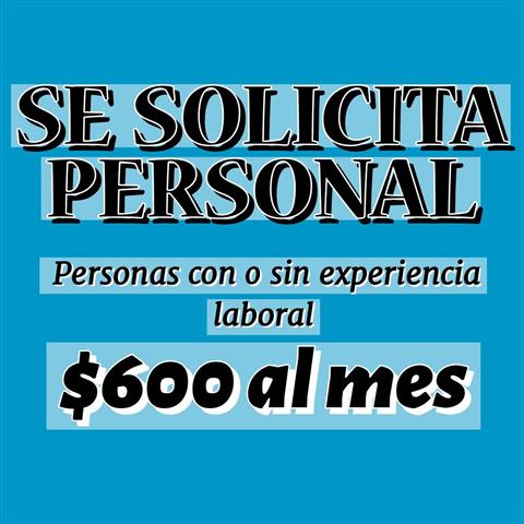 Se solicita bachilleres image 1