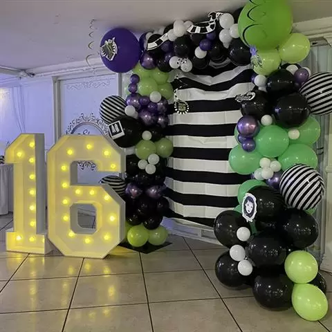 SALÓN DE FIESTAS image 2