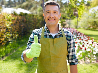 Ofrezca servicios de jardinero este verano