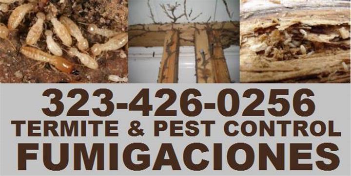 PEST TERMITE CONTROL. image 2