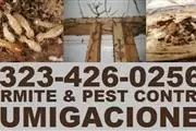 PEST TERMITE CONTROL. thumbnail