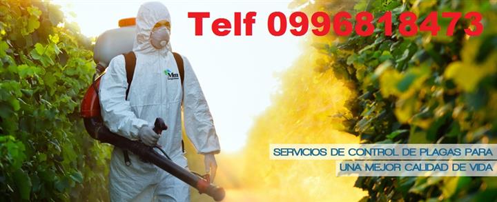 DESINFECCION TELF 0987058464 image 2