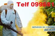 DESINFECCION TELF 0987058464 thumbnail 2