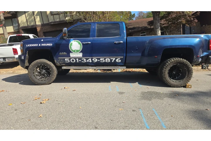 Francisco Tree Services image 7