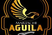 Mariachi Aguila DC Internacion en Washington DC