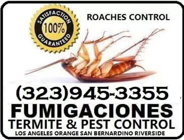 PEST CONTROL SERVICES 24/7.- image 7