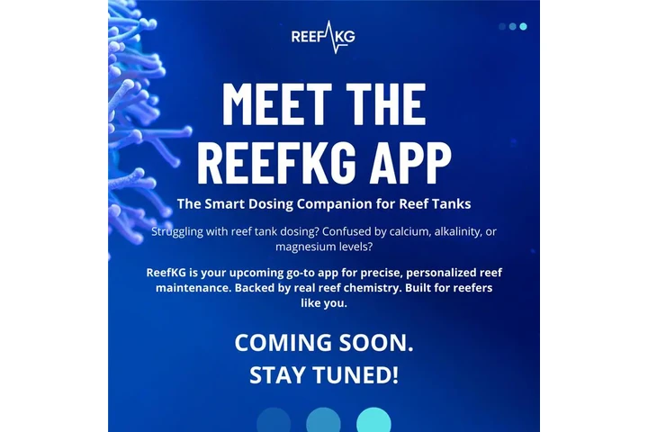 Reef KG APP image 1