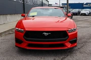 $26988 : 2024 Mustang EcoBoost Fastback thumbnail