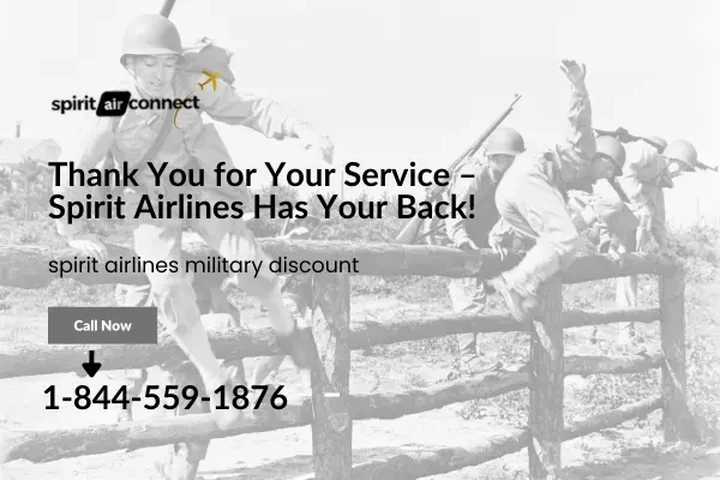 Spirit Airlines Military Disco image 1