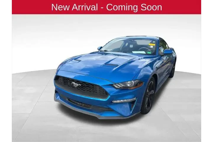 $16048 : Ford Mustang 2019 EcoBoost 2 image 1