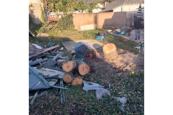 ANTONIO'S HAULING DEMOLITION image 4