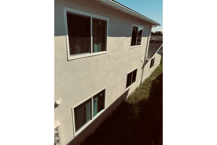 Professional Painter image 7