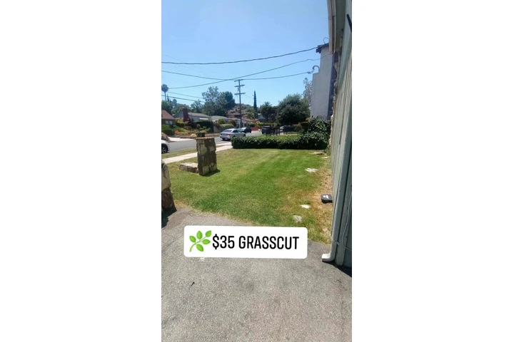 Corte de pasto 🌿👷🏼 image 3