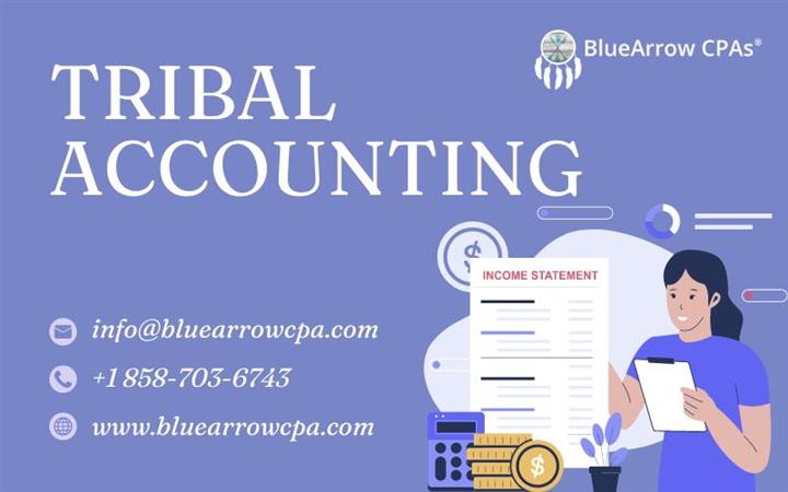 Tribal Accounting Services image 1