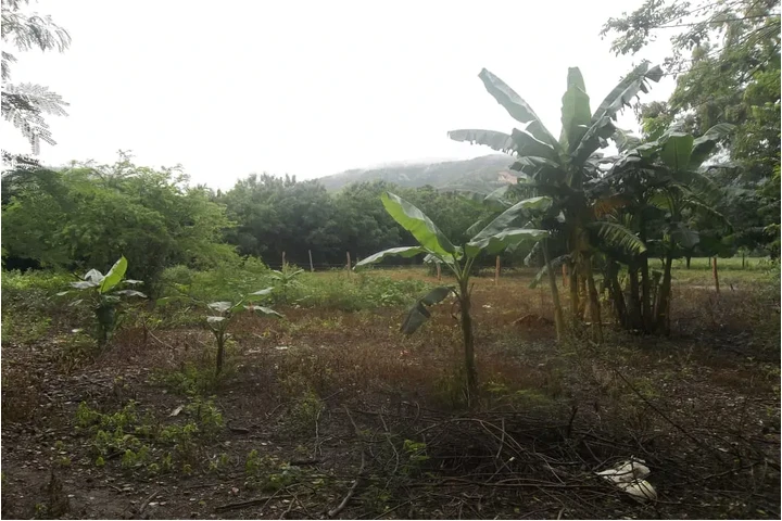 $111111111 : VENDO LOTE PLANO 1250 MT image 1