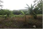 VENDO LOTE PLANO 1250 MT en Bogota