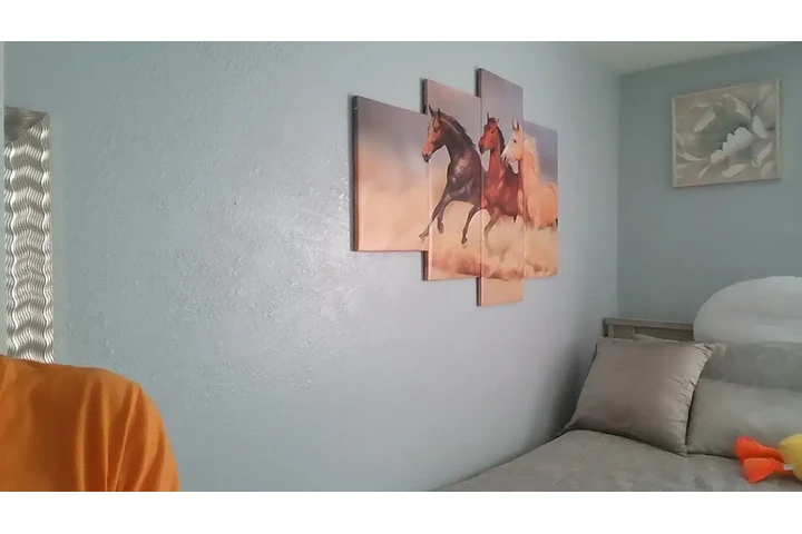 $850 : Cuarto de Renta image 1