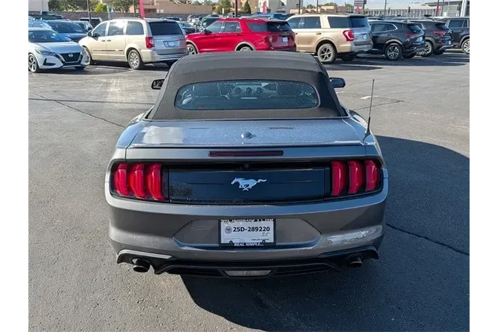 $22751 : Ford Mustang 2023 EcoBoost P image 5