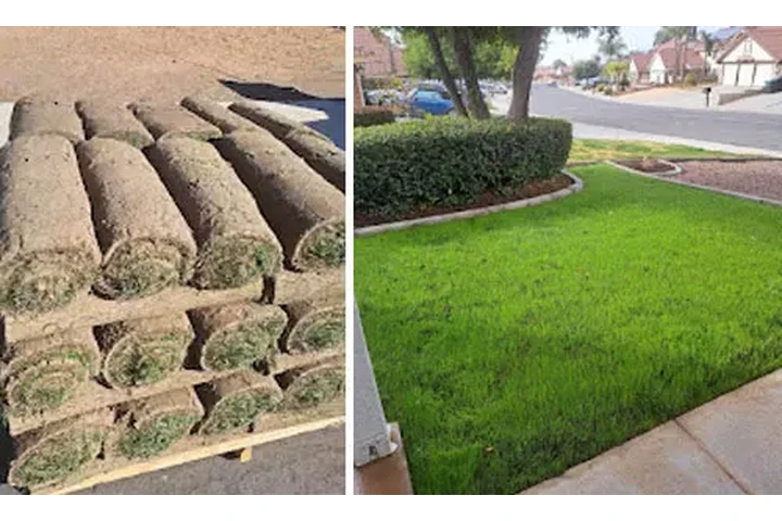 JV's Gardening and Tree Serv image 2