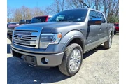 $19340 : Ford F-150 2013 4x4 Platinum thumbnail