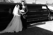 Limousines & Party bus thumbnail