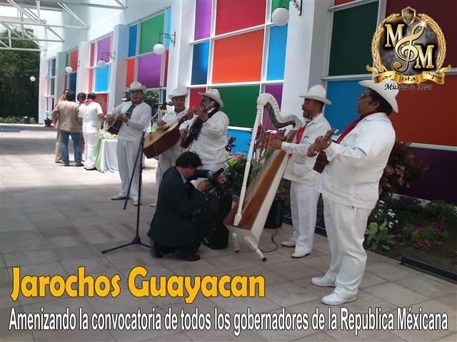 Grupo Musical Jarocho Guayacan image 3