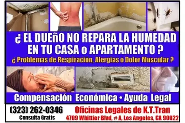 🔥ENFERMASTE? HUMEDAD EN CASA? image 2