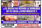 🔥ENFERMASTE? HUMEDAD EN CASA? en Los Angeles