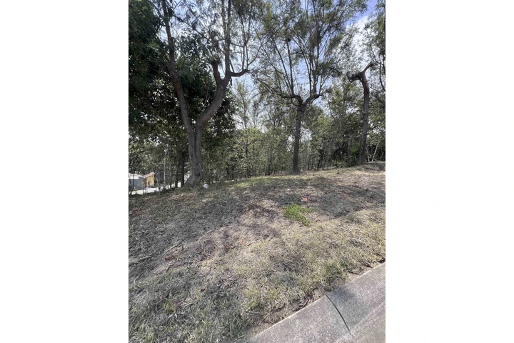 $97000 : Terreno en Antigua Gardens image 5