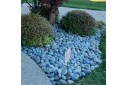 Landscaping y jardinería thumbnail
