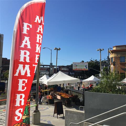 East Hollywood Farmers' Market image 2
